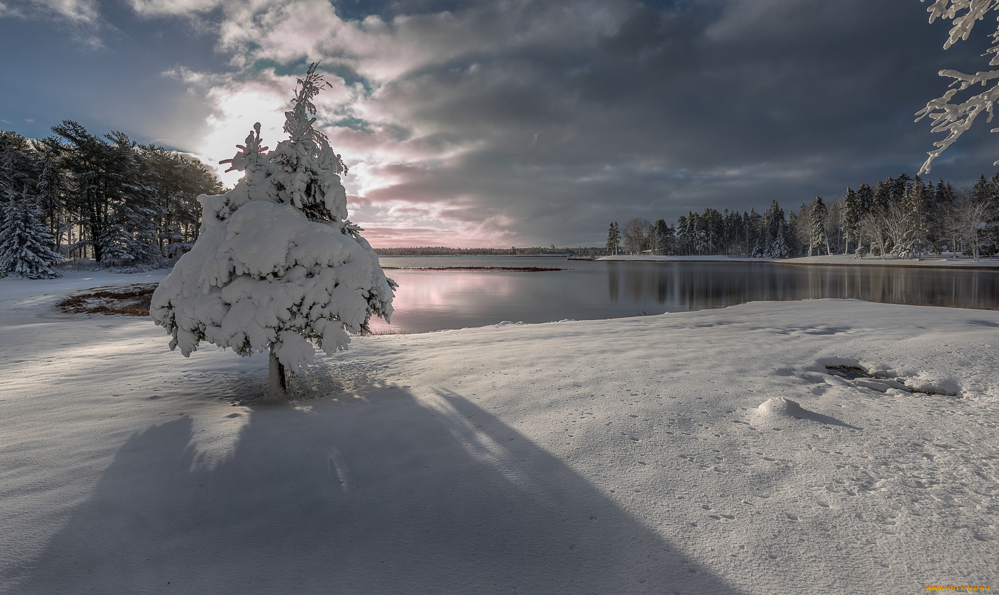 , , , winter, landscape, snow, lake, tree, , , , 